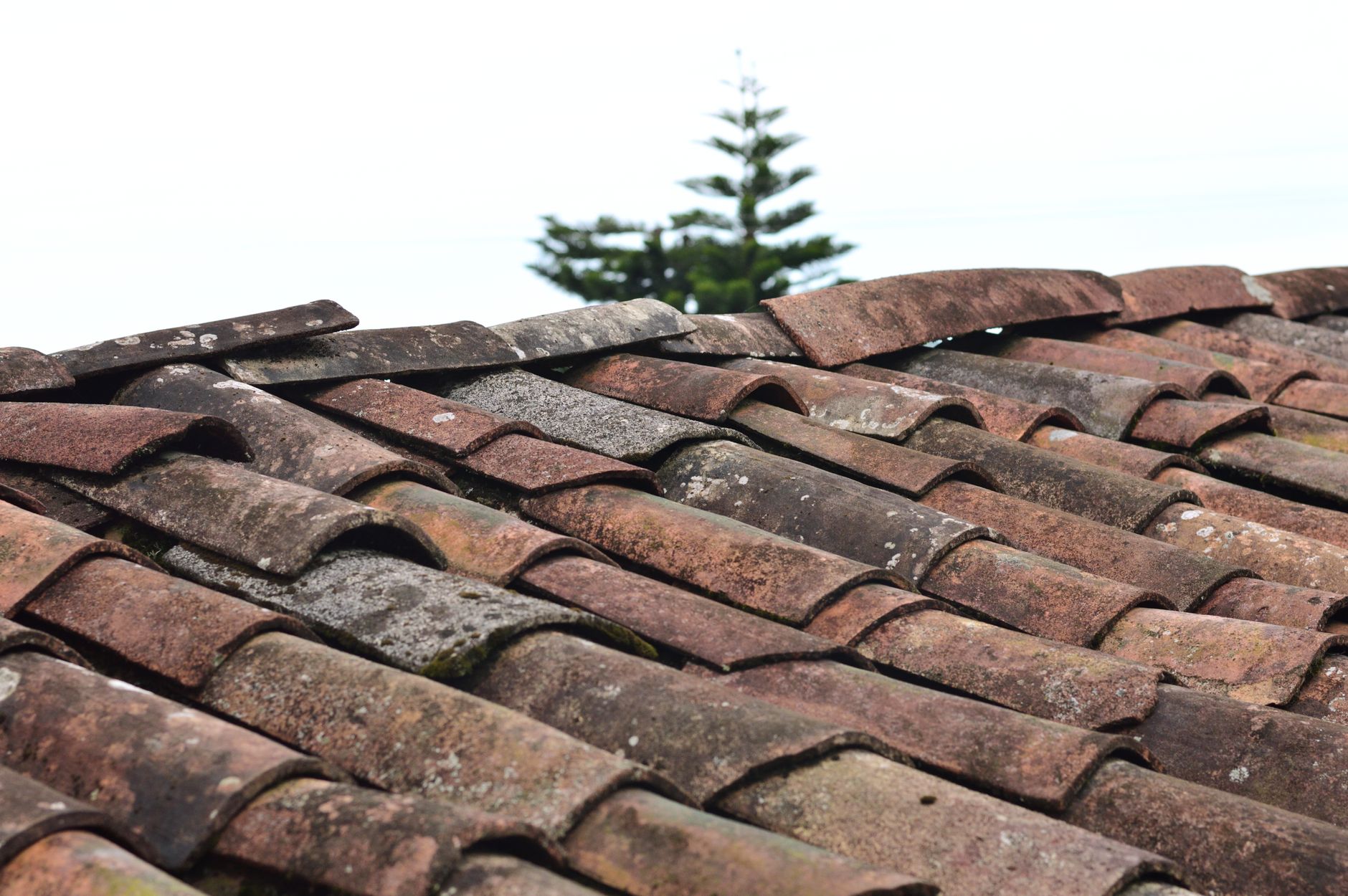 close up comparison of clay tile roof and asphalt shingle roof materials