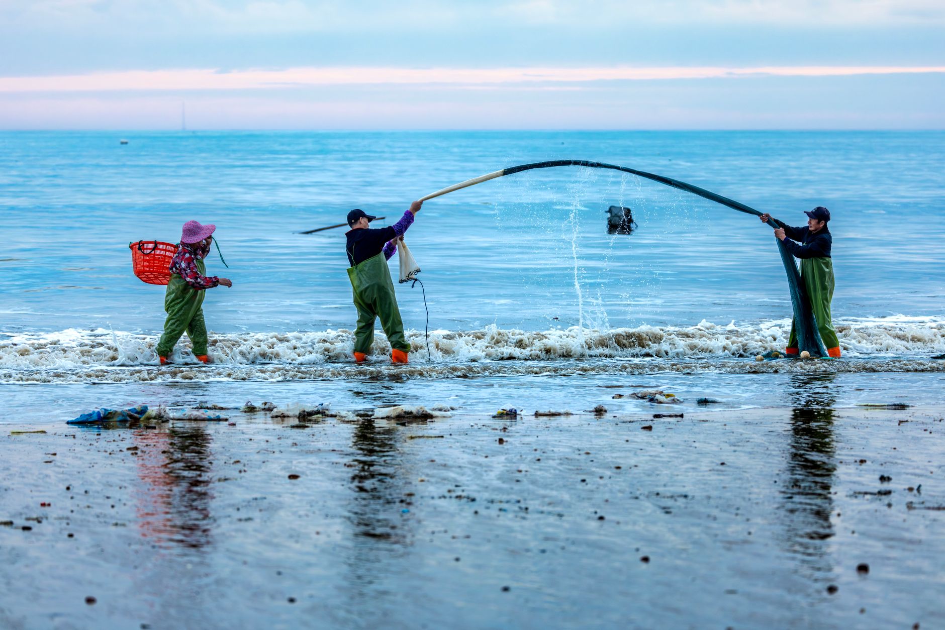 Farmers harvesting fresh seaweed in shallow ocean waters during traditional Korean coastal farming