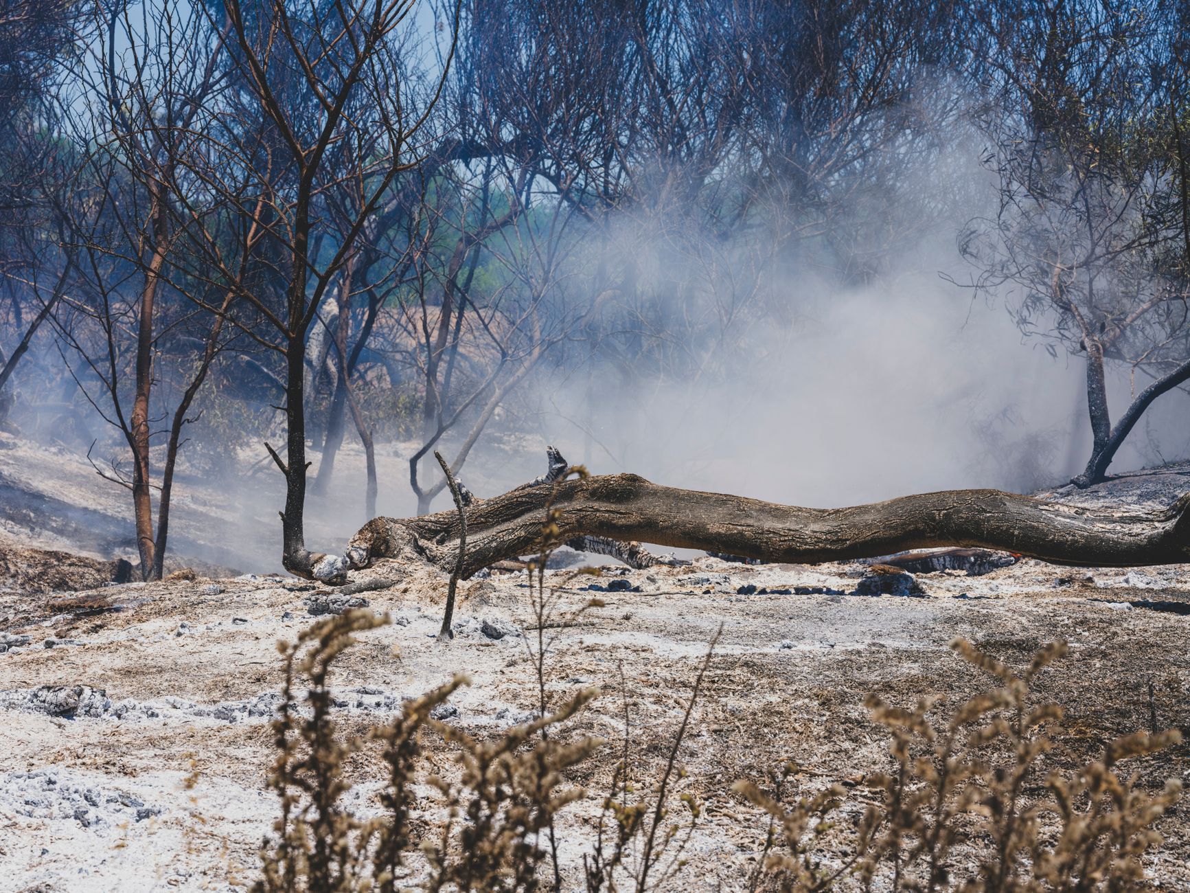 Damaged home with burnt walls and charred debris from California wildfire