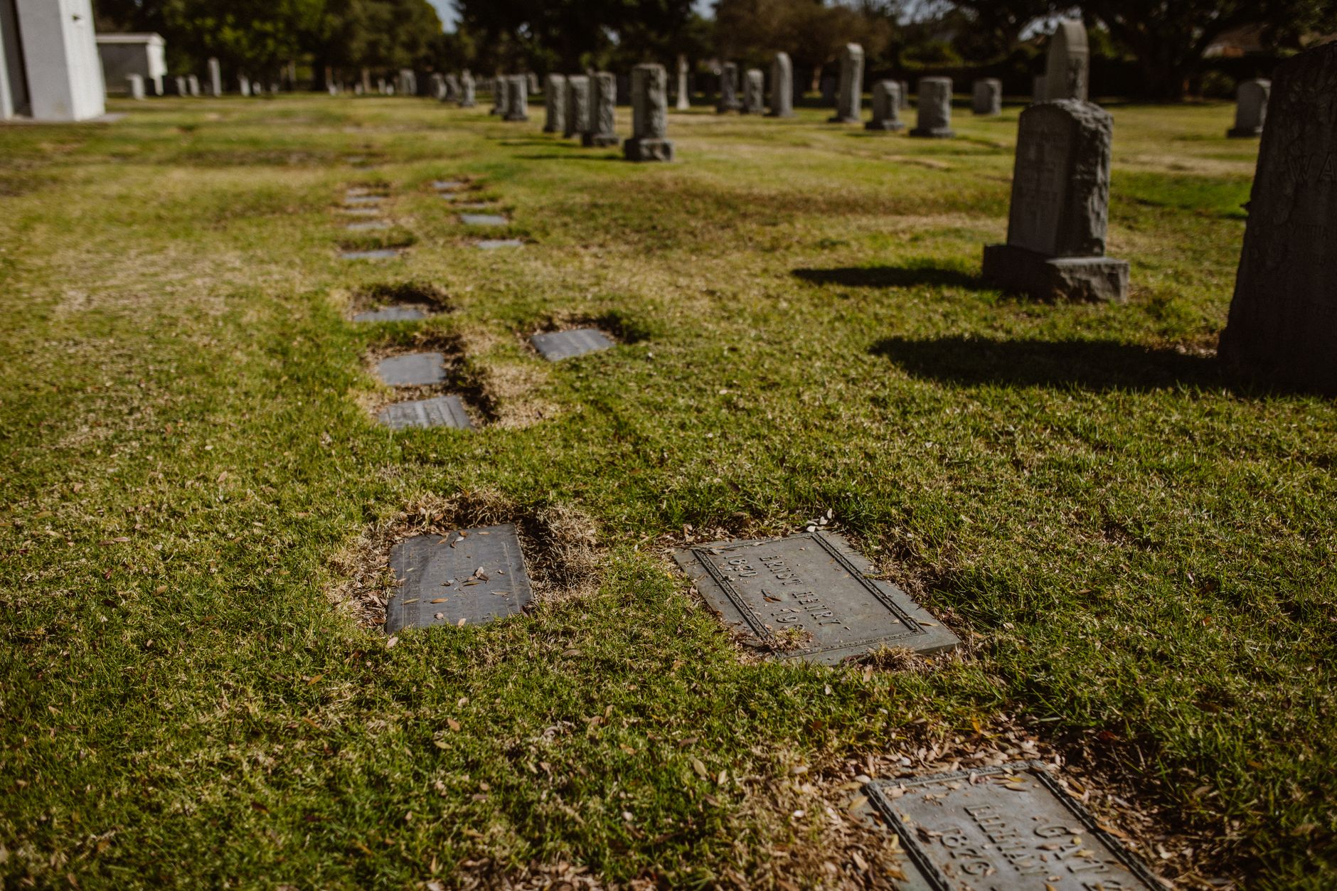 Comparison of flat markers and upright headstones in a peaceful cemetery setting