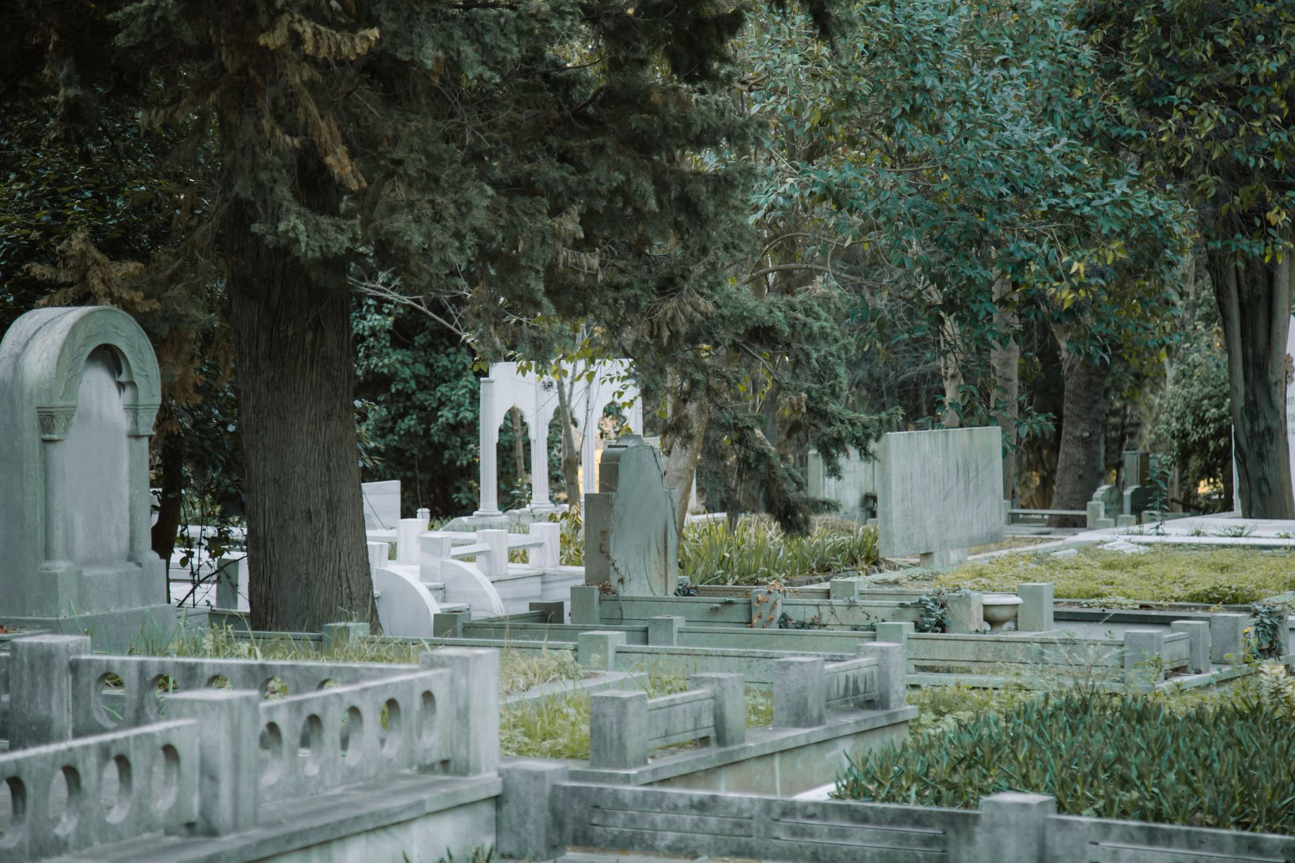 rows of varied headstones and monuments in a peaceful cemetery setting